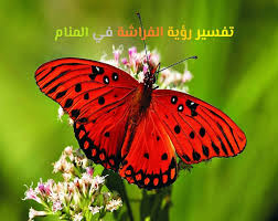 ان رؤية القرود في المنام تشير إلى انسان مخادع وكذاب ، وذلك طبقا لاغلب تفسيرات كبار وائمة المفسرين مثل (ابن سيرين والنابلسي وابن شاهين). Arrival Hubert Hudson Laugh Ø§Ù„ÙØ±Ø§Ø´Ø© Ø§Ù„Ø®Ø¶Ø±Ø§Ø¡ ÙÙŠ Ø§Ù„Ù…Ù†Ø§Ù… Idahoeconomics Com
