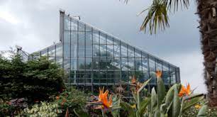 Die gewächshäuser des gartens sind täglich von 9 bis. Botanischer Garten Kiel