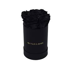 La boîte noire est un objet introduit dans kingdom hearts: Mini Roses Eternel Noir Boite Noire
