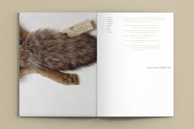 This is not a policy document but is a resource for teachers. Natural Science Collections Alliance Work Costello Communications