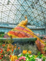 Maybe you would like to learn more about one of these? City Of Flower Travel Guidebook Must Visit Attractions In Kunming City Of Flower Nearby Recommendation Trip Com