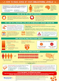 How To Make Sense Of Your Cholesterol Level Infographic