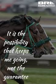  Pin On Inspirational Horse Quotes And Horse Ideas