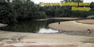 The transport minister is retiring from politics after 19 years. Singapore Morning News For March 24 2020