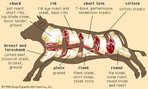 How to cook beef rib roasts and steaks. What Part Of The Cow Does A Ribeye Come From Quora