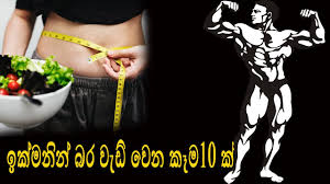 10 Fast Weight Gain Food Sinhala Youtube
