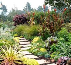 Get Along With Less Lawn Ideas To Save Water And Effort Patio Garden Design Front Yard Landscaping Backyard Landscaping