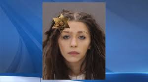 Dansville woman accused of threatening to blow up Livingston County dog  control building