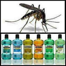 Bug Spray Kill Mosquitos Listerine Pest Control