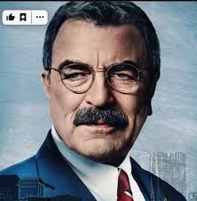 New cast members for Blue Bloods tv show announced