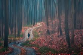 Walk Alone Walk Alone In The Woods Alone Photography Walking Alone Time Photography