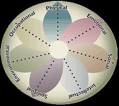 You may call us directly: Seven Dimensions Of Health According To Whqol 100 Download Scientific Diagram