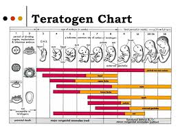 Teratogen Objectives You Will Be Able To Ppt Video Online