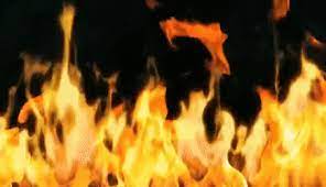 We did not find results for: Best Moving Fire Background Gifs Gfycat