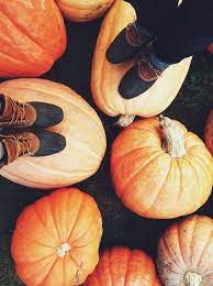 Pin By Jordyn Kaiser On Autumn Love Pumpkin Fall Dates Fall Favorites