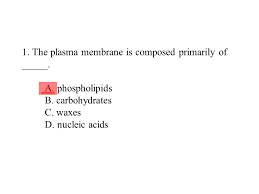 Check spelling or type a new query. 1 The Plasma Membrane Is Composed Primarily Of A Ppt Video Online Download