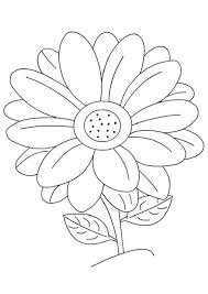 Here's a list of the best unique, easy and advanced coloring pages for adults. Daisy Coloring Pages Best Coloring Pages For Kids
