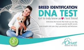 We bill your insurance for the cost of the genesight test. Dna Testing For Cats And Dogs In Australia Is It Worth Petcare