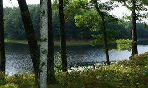 089 79 08 00 fax. De 10 Beste Hotels In Dilsen Stokkem Belgie Prijzen Vanaf 65