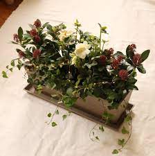 Installez trois plantes dans une coupe de 25 cm, cinq dans une jardinière de. Commandez Votre Jardiniere D Hiver Ma Petite Jardiniere