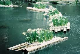 Photo Of The Day Floating Gardens In Taiwan Floating Garden Floating In Water Floating Raft