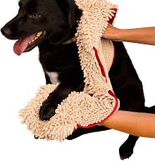 Musher's secret is advertised as the ideal solution to protect mushing dogs, hunting dogs, or any dogs that partake in outdoor activities. Protect Your Dog S Paws From Snow Ice Salt American Kennel Club