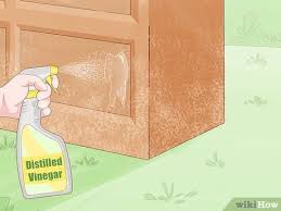 How To Remove Mold From Wood Furniture In 2020 Mold Remover Cleaning Wood Furniture Wood Furniture