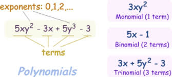 Examples Of Monomials Binomials And Trinomials Polynomials Exponents Math