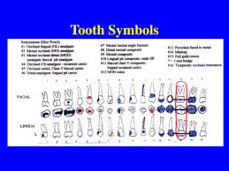 dental charting dental index jr online dental tutor