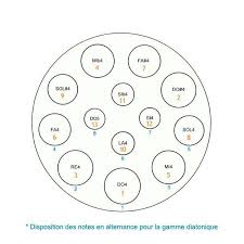 Spacedrum Evolution 13 Notes Chromatique Handpan Housse Instruments Gamme Chromatique Chromatique