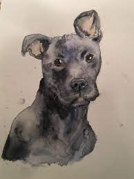 This is the stage where your dog's portrait really starts to get form and personality. First Time Trying To Draw A Real Dog Drawing