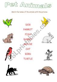 The domesticated ones have even found a home in neighborhoods while others continue to thrive in the wild. English Worksheets Pet Animals