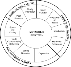 Search for biopsychosocial model definition. Biopsychosocial Factors Affecting Metabolic Control Among Female Adolescents With Type 1 Diabetes Diabetes Spectrum
