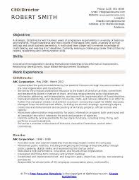 Ceo resume samples with headline, objective statement, description and skills examples. Ceo Resume Samples Qwikresume