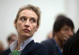 What binds alice weidel to a party of older white males is her almost pathological hatred of foreigners i've known alexander gauland, who leads the afd in the bundestag together with alice weidel. Merkel Is Insane Meet The Woman Leading The Afd Into The Elections The Local