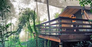 Simak 35 tempat wisata bogor yang menarik untuk dikunjungi. 24 Instagrammable Natural Attractions In Bogor That Will Change Your Mind About The City