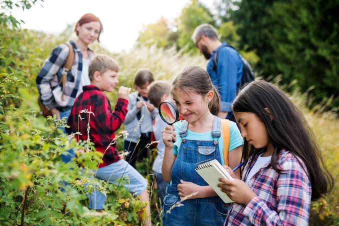 The Emergence of Outdoor Education Programs & Their Role in Environmental Education