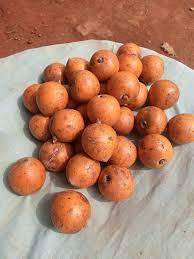 File:Azonbébé ou Alasa (African Star Fruit)ː un fruit special ayant de  nombreuses propriétés médicinales.jpg - Wikimedia Commons
