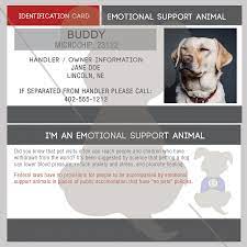 Id Card Emotional Support Animal Sitstay Therapy Dogs Emotional Support Animal Dog Training Obedience
