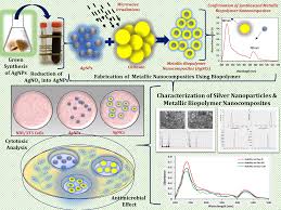 Compare money transfer services, compare exchange rates and commissions for sending money from japan to malaysia. Biosynthesis Of Silver Nanoparticles For The Fabrication Of Non Cytotoxic And Antibacterial Metallic Polymer Based Nanocomposite System Scientific Reports