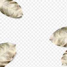 Gold Spray Painted Leaves Png Background Free Image By Rawpixel Com Wan Painted Leaves Gold Spray Paint Gold Spray