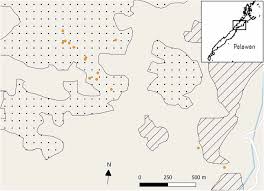 Azlan aziz & partners is an independent auditor with office located in kuala lumpur. Improving The Detection Rate Of Binturongs Arctictis Binturong In Palawan Island Philippines Through The Use Of Arboreal Camera Trapping