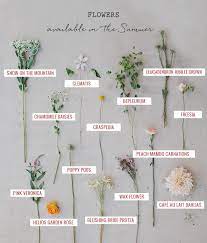 While wedding trends come and go, flowers are always in style. Seasonal Flower Guide Summer