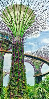 Pin Von Garvi Thakkar Auf Go For Trip Gartenbilder Orchideen Garten Singapur