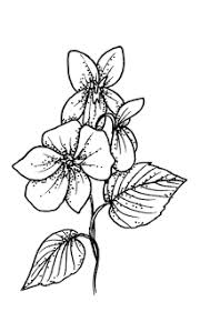 Google Image Result For Https I Pinimg Com Originals E8 27 B8 E827b87d39d2ffbcddfa0a9e73671e17 Png Violet Flower Tattoos Flower Drawing Violet Flower