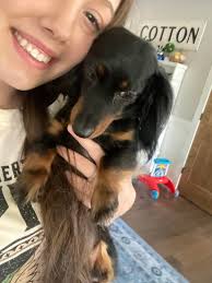 Jadens In-Home Pet...