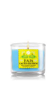 I don't know what baja cactus blossom smells like, but i do know cactus blossom as of 2019 from bbw. Bath Body Works 3 Wick Candle In Baja Cactus Blossom