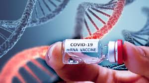 Check spelling or type a new query. Why Mrna Vaccines Like Those Being Made To Treat Coronavirus Are A Quantum Leap For Biotech Salon Com