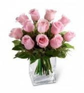 # rainbow flowers nassau bahamas # rainbow flowers science project # rainbow flowers conroe tx # rainbow flowers metropolis il # rainbow flowers # rainbow flower arrangements themes # rainbow flower bouquet with tissue paper # rainbow flower # rainbow flowers fresno # rainbow flowers. Sympathy Flowers Antique Rose Magnolia Tx The Woodlands Tx Conroe Tx