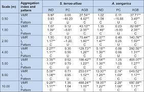 Image result for Zygophyllum leucocladum